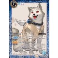 (2025/11)コロマル《青》 card art